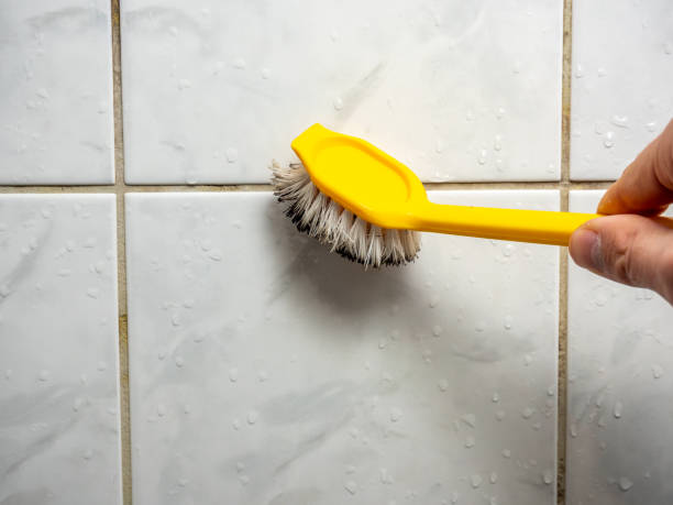 Best Residential Mold Removal  in Coplay, PA