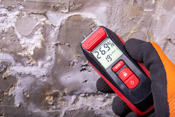 Best Emergency Mold Removal  in Coplay, PA