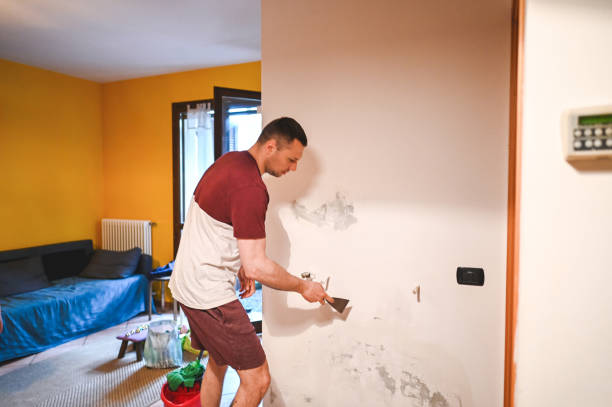 Best Toxic Mold Removal  in Coplay, PA